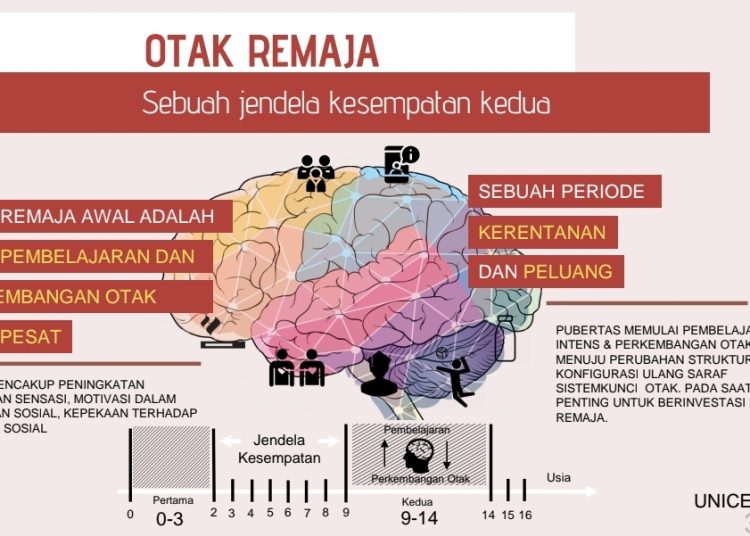 Ilustrasi Otak Remaja